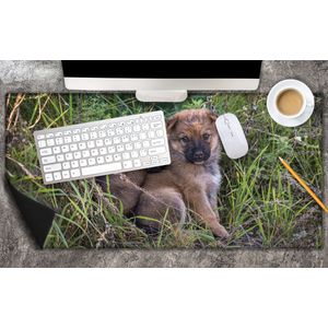 Bureau onderlegger - Duo Bruine Puppy's tussen het Gras - 80x40 cm - 2 mm Dik - Bureau mat Vinyl
