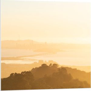 Forex - Geel Landschap door de Zon - 80x80cm Foto op Forex