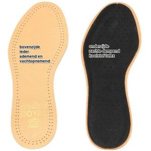 Zool 102 44 Pedag Royal