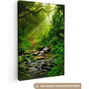 Canvas - Canvas jungle - Zonlicht - Bomen - Takken - Jungle - Kamer decoratie - 60x90 cm