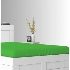 Terry Hoeslaken met Elastiek voor Kinderbed 60x120cm Groen