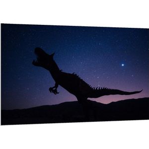 Forex - Silhouet Dinosaurus bij Sterrenhemel - 150x100cm Foto op Forex