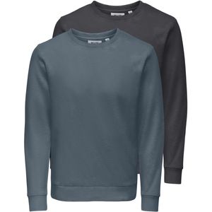 ONLY & SONSONSCHASE REG CREW SWEAT 2-PACK OTLHeren trui