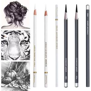 Schetsen met witte houtskoolpotloden - Professionele tekenpotloden set - Niet-giftige potloodset voor fijne kunst - Zacht/Medium/Hard