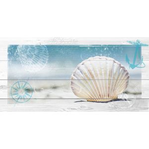 Dibond - Zee / Strand / Water - Collage schelp in Beige / wit / zwart / blauw - 100 x 200 cm.