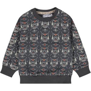 Dirkje jongens trui Navy - 03 Boys wildland