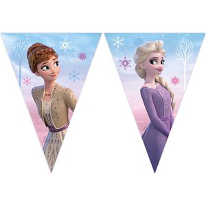 Disney Frozen - Vlaggenlijn - Slinger - Vlaggetjeslijn - Fcs karton - 230cm lang