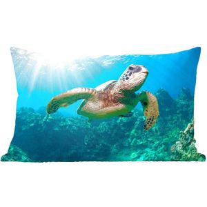 Sierkussen Schildpad voor binnen - Zwemmende schildpad fotoafdruk - 50x30 cm - rechthoekig binnenkussen van katoen