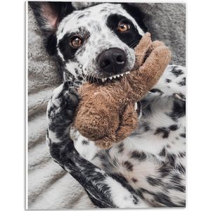 PVC Schuimplaat - Dalmatiër Hond Spelend met Bruine Knuffel - 30x40 cm Foto op PVC Schuimplaat (Met Ophangsysteem)