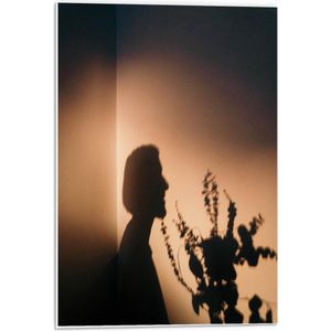 Forex - Man met Bloemen Schaduw op de Muur - 40x60cm Foto op Forex