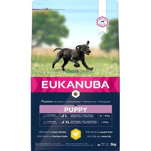 Eukanuba Dog Puppy & Junior - Large Breed - Chicken - 3 kg