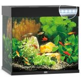 Juwel Aquarium Lido 120 Led - Zwart - 61x41x58 cm - 120 L