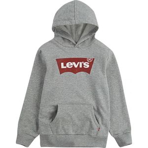 Men’s Sweatshirt without Hood Levi's Batwing Screenprint Grey