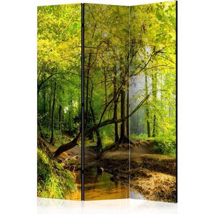 Kamerscherm - Scheidingswand - Vouwscherm - Forest Clearing [Room Dividers] 135x172 - Artgeist Vouwscherm