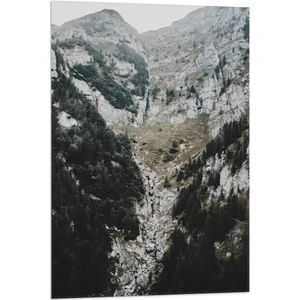 WallClassics - Vlag - Wit met Grijze Berg met Bomen - 60x90 cm Foto op Polyester Vlag