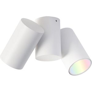 QAZQA michael - Design Dimbare LED Smart Plafondspot | Spotje | Opbouwspot incl. wifi met Dimmer - 2 lichts - L 17.2 cm - Wit - Woonkamer | Slaapkamer | Keuken