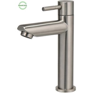 Pinnacle Living-Toiletkraan - Alleen Koud Water - RVS - Hendel-Bediening - Wastafelkraan