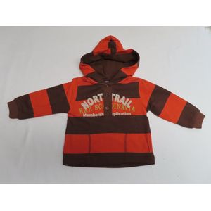 Trui - Sweat shirt - Jongens - Streep bruin , oranje - 6 maand 68