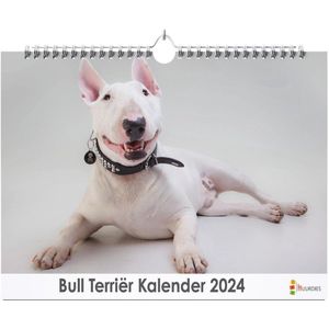 Huurdies - Bull Terriër Kalender - Jaarkalender 2024 - 35x24 - 300gms