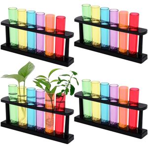 Doorzichtige Plastic Reageerbuisjes - 45ml - Geassorteerde Kleuren - Buis Containers met Rek - Experimenten - Snoep Opslag - Bad Zout - Kralen - Bloemen