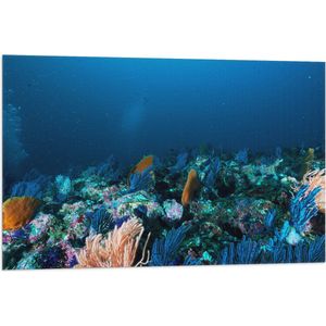 WallClassics - Vlag - Koraal onder Water - 90x60 cm Foto op Polyester Vlag
