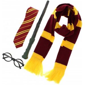 4 delige Wizard/Witch Harry Potter set multicolours - Zac's Alter Ego