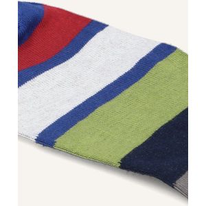 Paul Smith Men Sock Atanas Stripe Sokken Heren - Blauw - Maat 40-46