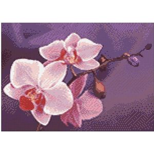 Wizardi Diamond Painting Kit ranch of Orchids WD038