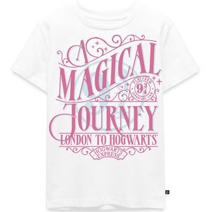 Harry Potter Perron 9 ¾ Ontwerp In Roze & Blauw Premium T Shirt Kinderen