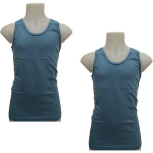 Embrator Jongens Hemdjes 2-stuks blauwgrijs maat 128/134