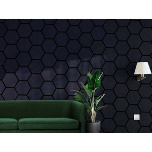 WallingtonNL Hexagon akoestisch houten wandbekleding Black / Antraciet