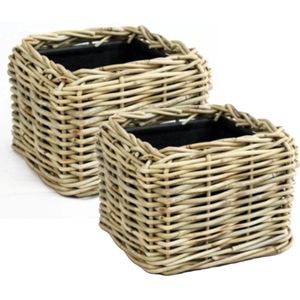 Van Der Leeden Planten/bloemen mand - 2x - vierkant - rotan - gevlochten riet - 25 x 25 x 18 cm - drypot