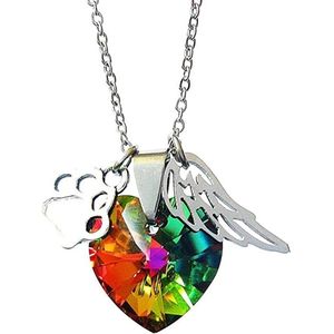 GoedeDoelen.Shop | Ketting Rainbow Bridge | Herdenking Ketting | Gedenk Ketting | Over The Rainbow Bridge | Over De Regenboog Brug |  Angel Paws | Always In My Heart | Wellness-House