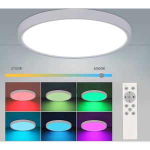 Delaveek-Ronde Triple Proof LED Plafondlamp -IP54 - Infrarood Afstandsbediening -24W- RGB Dimmen en Kleurenmengen - Dia 30cm