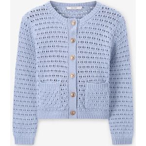 Sissy-Boy - Gebreid Vest - Lichtblauw - Regular Fit