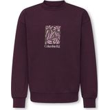 ONLY&SONS - OSJBEAUFORT CREW NECK RLX SWT - Violet - Jongens - Sweaters