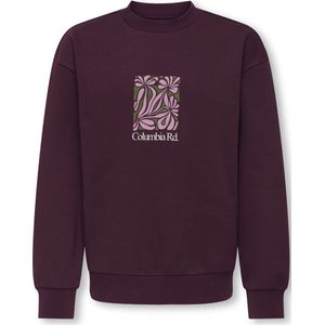 ONLY&SONS - OSJBEAUFORT CREW NECK RLX SWT - Violet - Jongens - Sweaters