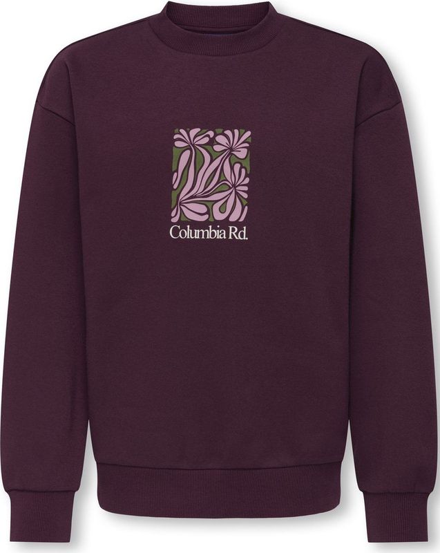 ONLY&SONS - OSJBEAUFORT CREW NECK RLX SWT - Violet - Jongens - Sweaters