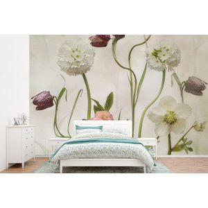Bloemen - Lente - Tuin - Stilleven