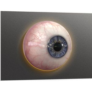 PVC Schuimplaat- Menselijke Oogbal tegen Grijze Achtergrond - 100x75 cm Foto op PVC Schuimplaat