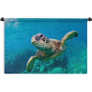 Wandkleed Schildpad - Zeeschildpad zwemmend in Hawai Wandkleed katoen 150x100 cm - Wandtapijt met foto