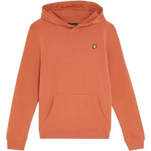 Lyle & Scott Pullover Hoodie Boys Truien & Vesten Jongens - Sweater - Hoodie - Vest- Bruin - Maat 128/134