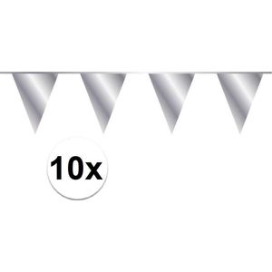 Slinger Vlaggenlijn Zilver 100 Meter Verjaardag Slinger Voor Binnen En Buiten
