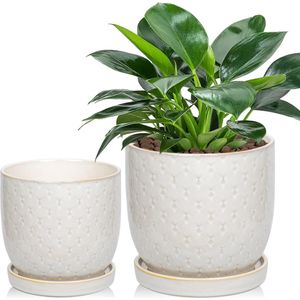 2-pack keramische plantenpotten - wit - 13 cm & 16 cm - drainagegaten - succulenten & cactus.