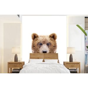 Beer - Bruin - Dieren - Natuur - Behangpapier