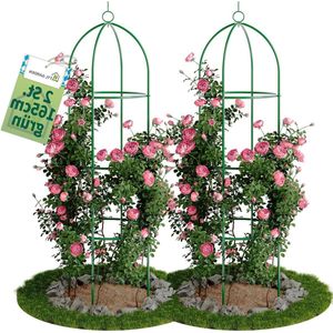 Garden Obelisk Rankhulp 165 cm Groen Set van 2 | Rozen Klimrooster Metaal | Klimplanten Clematis | Gepoedercoat Staal 165 cm Hoog 40 cm Ø | Ranktoren Tomaten Komkommers