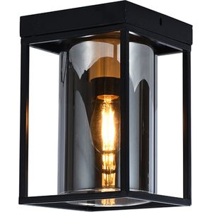 Olucia Jessa - Plafondlamp - Zwart - E27