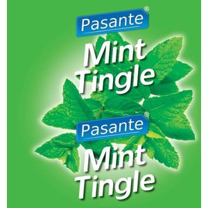 Pasante Mint Flavour Condooms 144 stuks