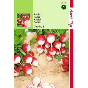 2 stuks Hortitops Radijs Gaudry 3, Ronde Rode Witpunt