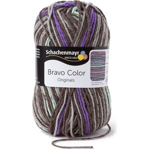 Schachenmayr Bravo Color 50 Gram - 2107